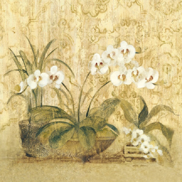 Cheri Blum Espirit Orchid